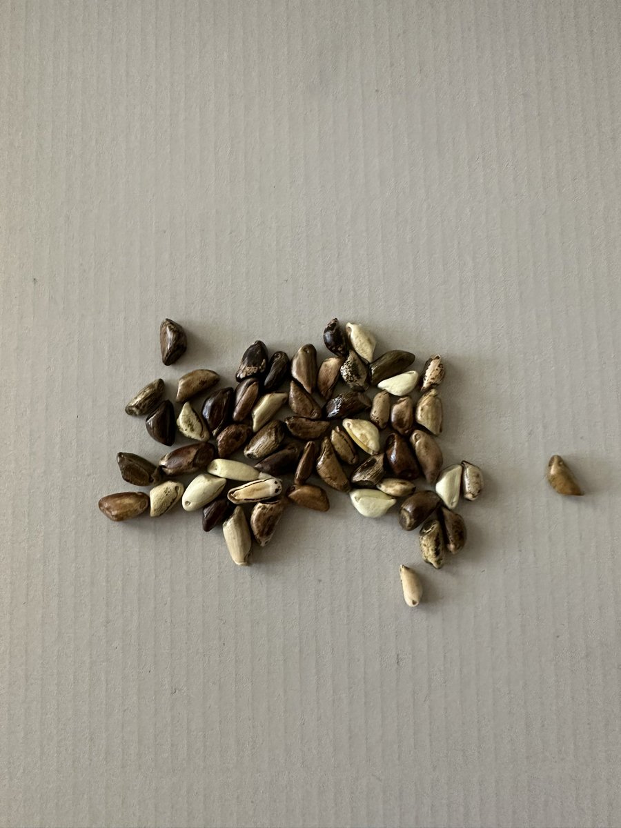 JEMiller tweet media