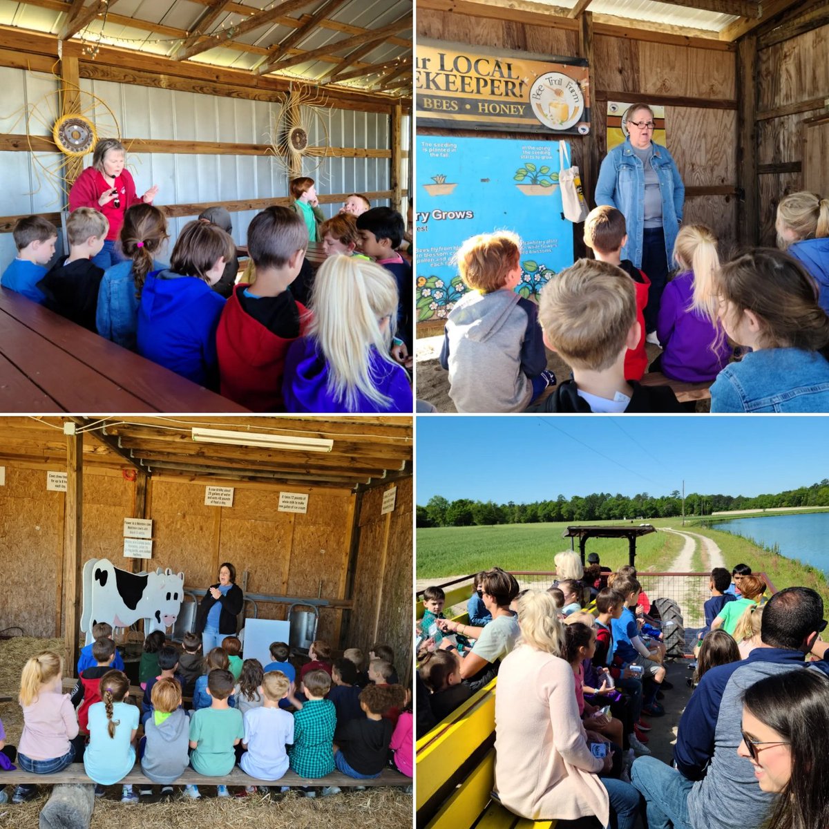 Clinton Sease Farms did not disappoint after our long break from field trips. Teachers, students, and parents were all excited after this awesome trip and can't wait for the next one.😊🍓 <a href="/Midway_Mustangs/">Midway Elementary</a>