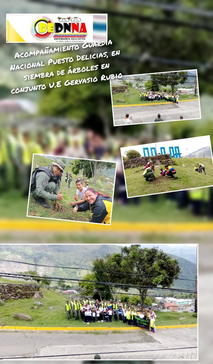 amorypazurdane's tweet photo. Siembra de árboles, con GNB Delicias, Inparques Nacionales , U.E Gervasio Rubio, y Defensoría Educativa Amor y Paz. https://t.co/DFZfhR1hqn
