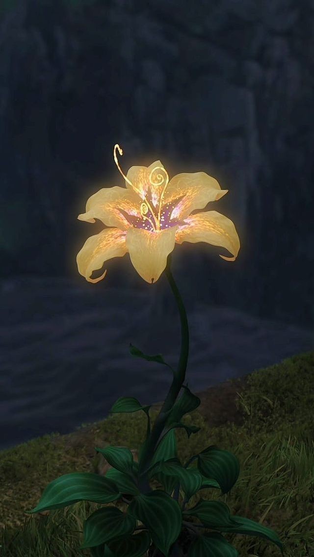 VeroBlanco3's tweet photo. Les presento la flor de la película "Enredados" hecha completamente a mano. 

La pueden encontrar en ig: crochetdeluna https://t.co/nKxH5Z2qxB