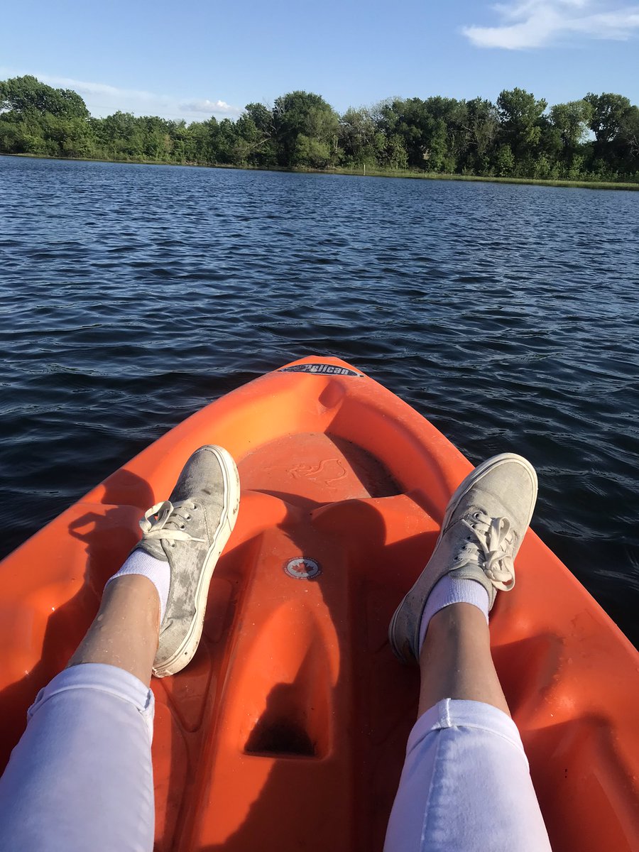 Sarah Perry tweet media