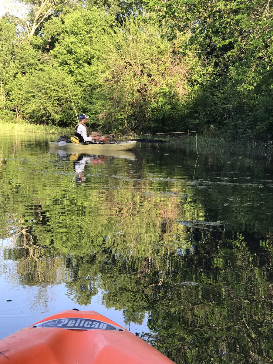 Sarah Perry tweet media