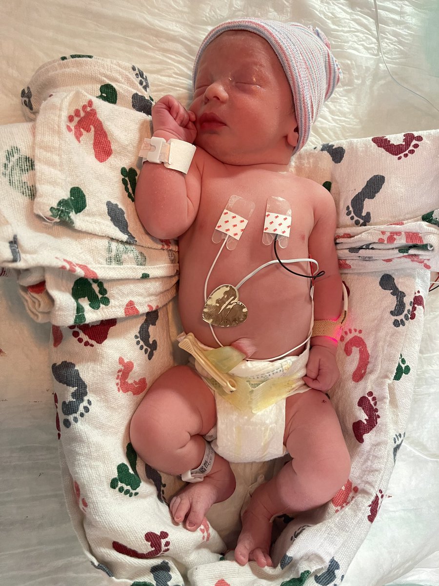 JHSHurricaneFB's tweet photo. Congrats to Coach Tyler Gahr and wife Darbi on the birth of their son Rhett Henry Gahr! We are excited to welcome another little Cane and future offensive lineman. Many blessings and prayers as they enter parenthood. #OTR https://t.co/3O0uYvyrhA