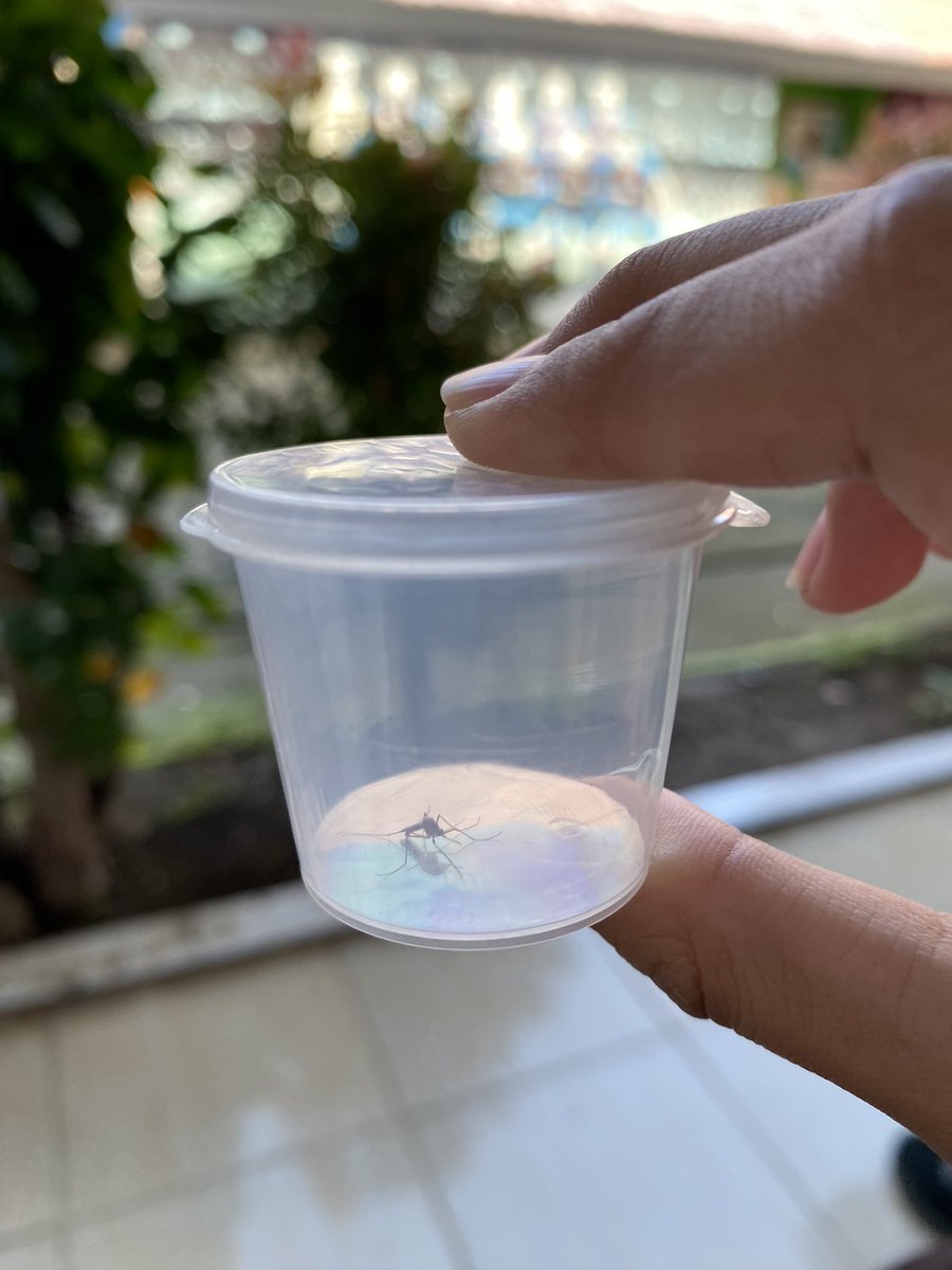 ∞ ₒ ˚ °🎠 tweet media