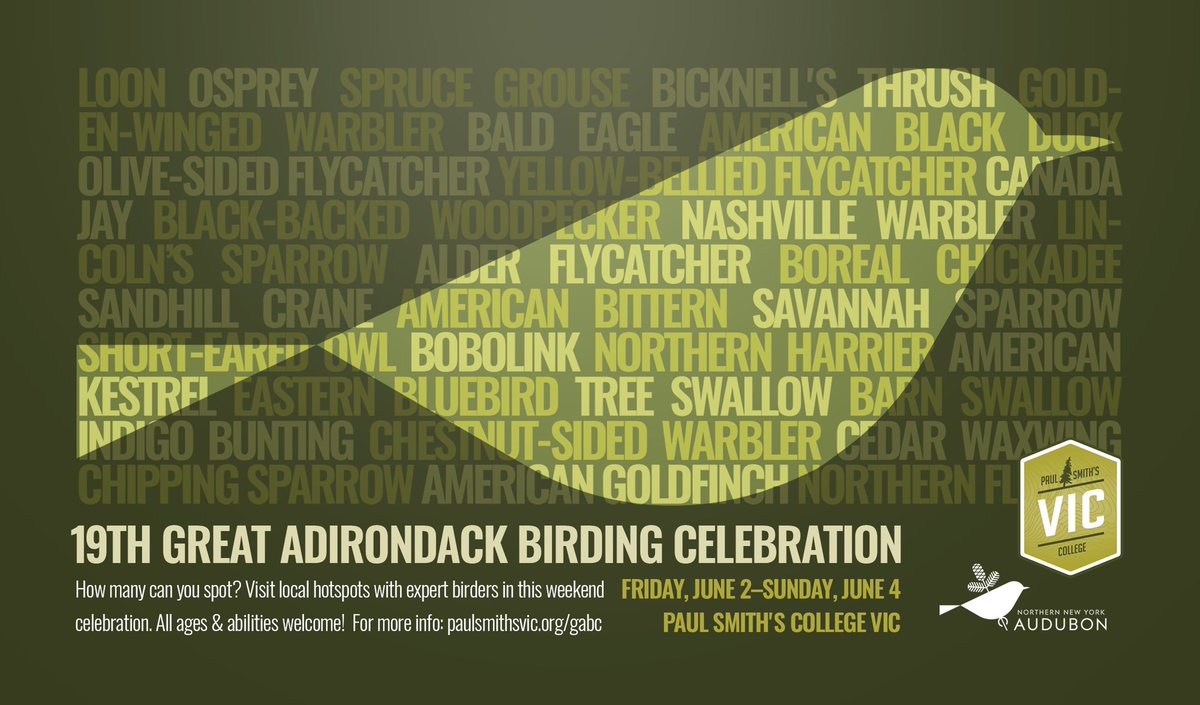 pscvic's tweet photo. #GABC #birding #Adirondacks https://t.co/wBUrmyvdd8