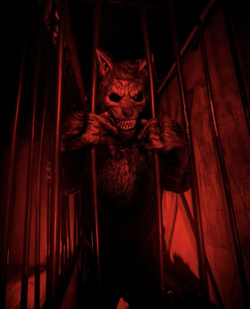 freaklingbros's tweet photo. We've awakened from our slumber—eager to send chills down your spine and make your heart race with fear....👹

See you soon. 

#horrorhouse #hauntedhouses

📷 creds: @DeVargas_Photo https://t.co/OjNWl10EqP