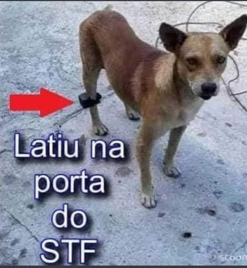 arrobissima's tweet image. #prayforRuby 😫🙏