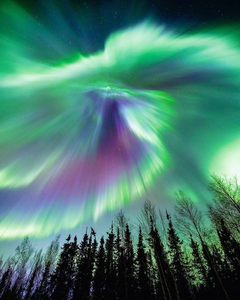 The sky exploded north of Fairbanks on the night of March 23rd… we’re still not over it🤩🙌🏼 . . 📸 @allanlongphotography . . #explorefairbanks #alaska #fairbanksalaska #fairbanks #fairbanksak #arcticalaska #north #northpole #travel #northernlights #au… instagr.am/p/Cq9Flq7PSMa/