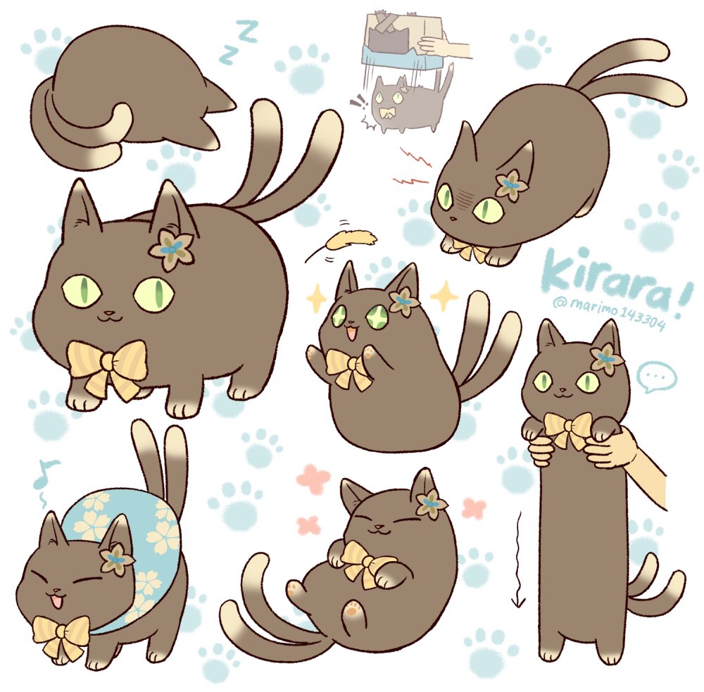 Kirara cat form inside the 📦 #Genshin #原神 #綺良々