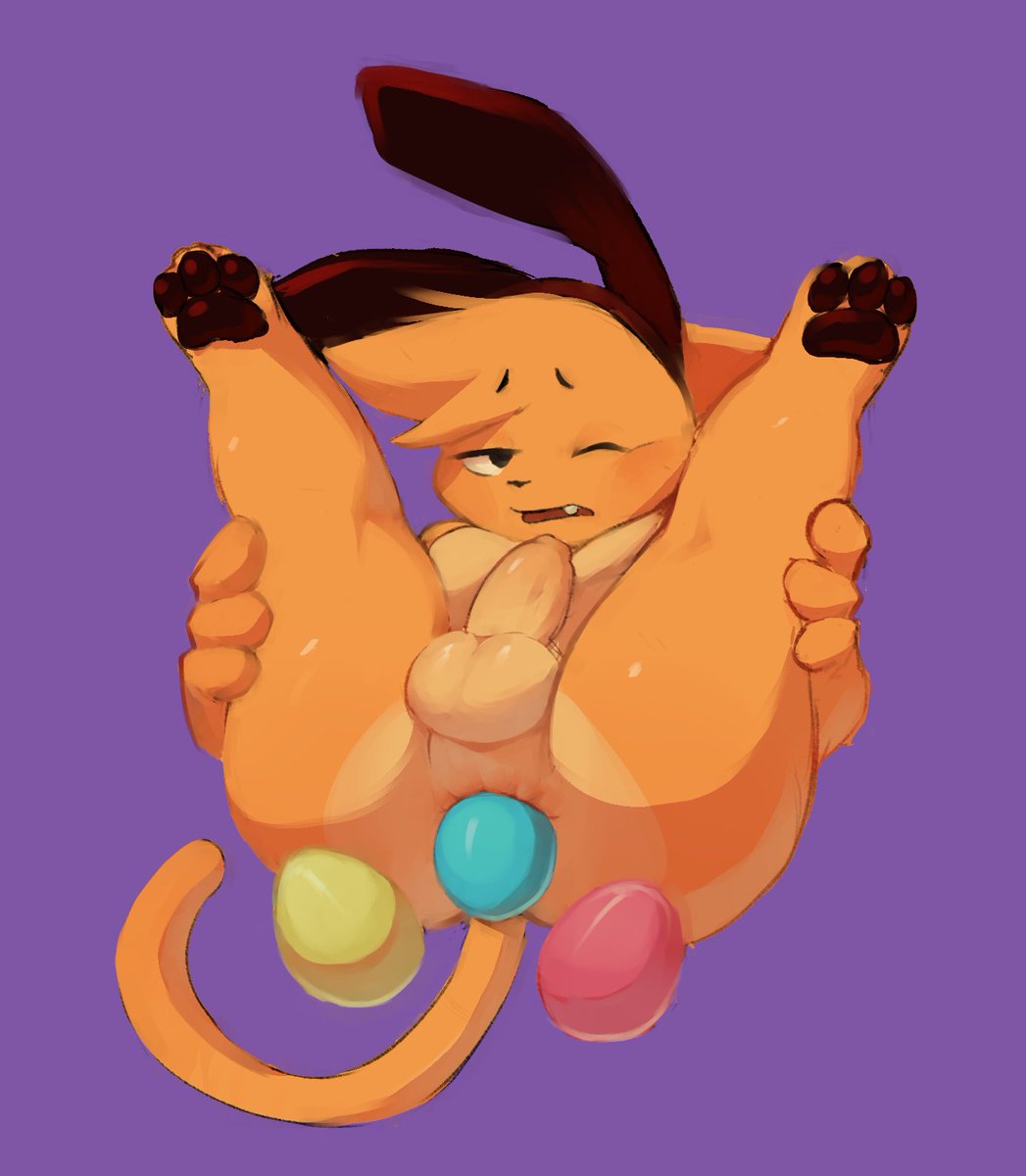 wimbocs's tweet image. I missed the funny oviposition day