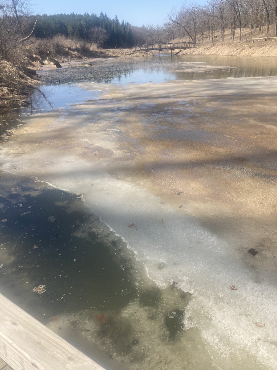 It looked like winter here last Friday with wind chills at 10 degrees and 80% snow cover. Today (Wednesday) we have temps in the mid 80’s and the snow is gone. 

Images from today:
Stowing kick sleds for the winter. 
Ice still holding on at the deep pool.