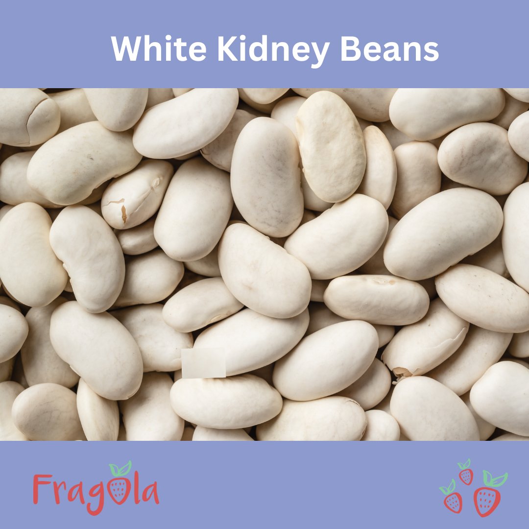 ShopFragola's tweet photo. White Kidney Beans are packed with the plant-based protein, fibre, carbohydrate, omega-3 fatty acids, folate. The beans are also a great source of a critical mineral for babies – iron. By combination with vitamin C from strawberry, the iron absorption gets very well optimized. https://t.co/OkygnV7gvO