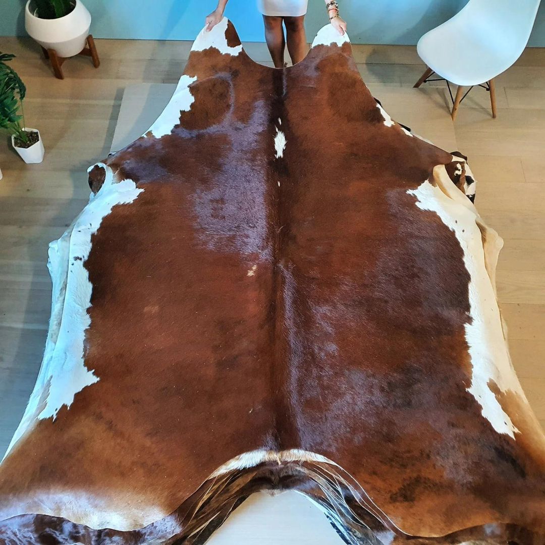eCowhides's tweet photo. $169 - Natural Brazilian Tricolor Brindle Mix Cowhide Rug Size X Large 9510

https://t.co/N6ZQU2DAZu

#luxurydesign #realcowhide #luxuryliving #cowhiderug #leather #ınterıordesingner #interior #brazilian #luxury #decor #homedecor #rugs #interior #interiordesign #homedecoration https://t.co/GRTK2cfRzE