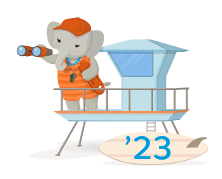 Salesforce Petr ☁️ tweet media