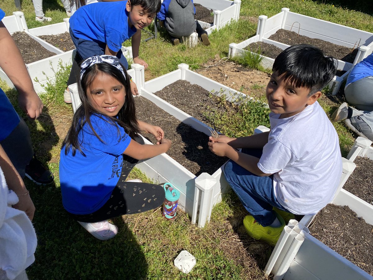 Kristy Beasley tweet media