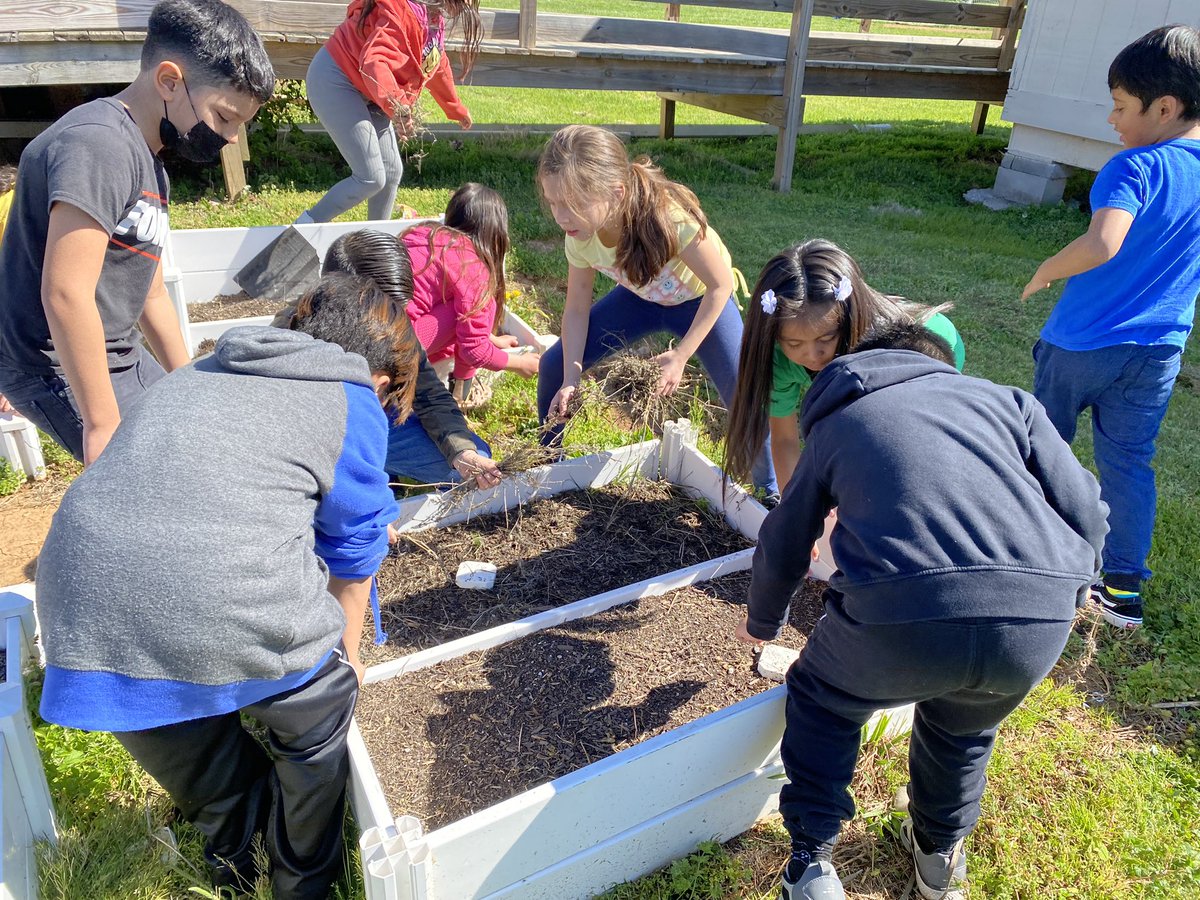 Kristy Beasley tweet media