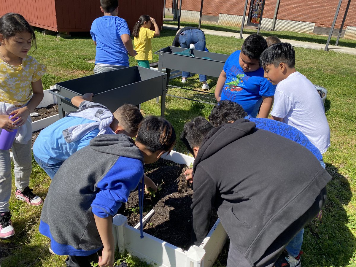 Kristy Beasley tweet media