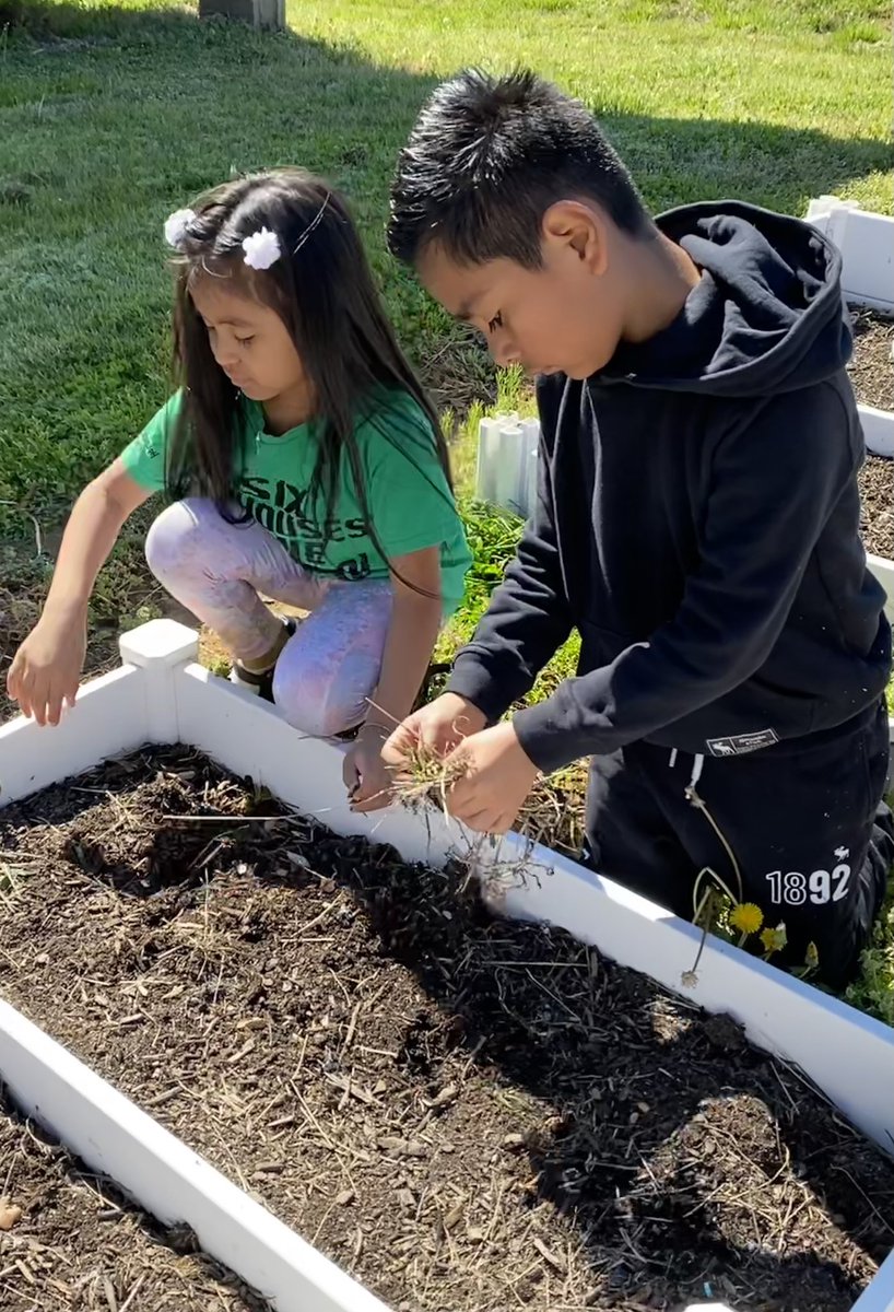 Kristy Beasley tweet media