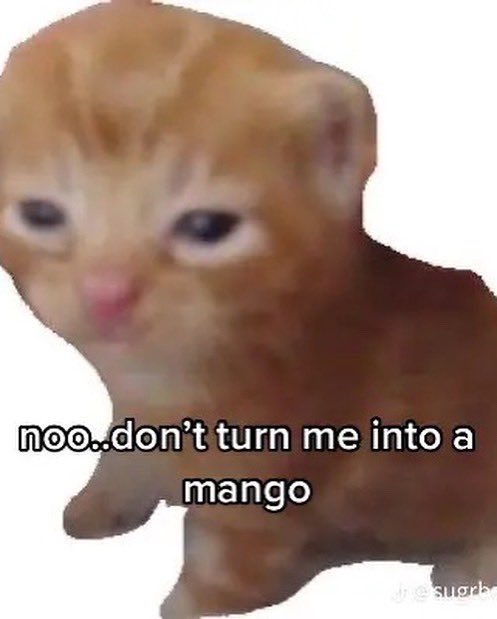 dumpling tweet media