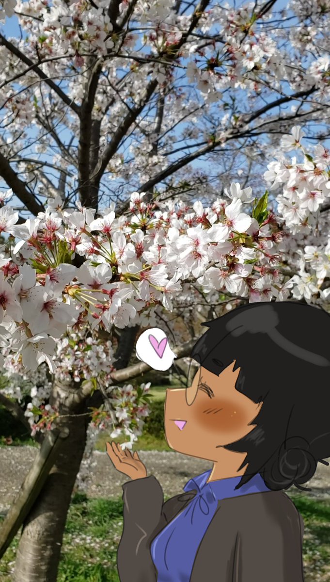 I miss the sakura already. QvQ

#sakura #sakuraflowers #spring #さくら #quickdrawing #quickart #artandphotography #春 #chibiartist