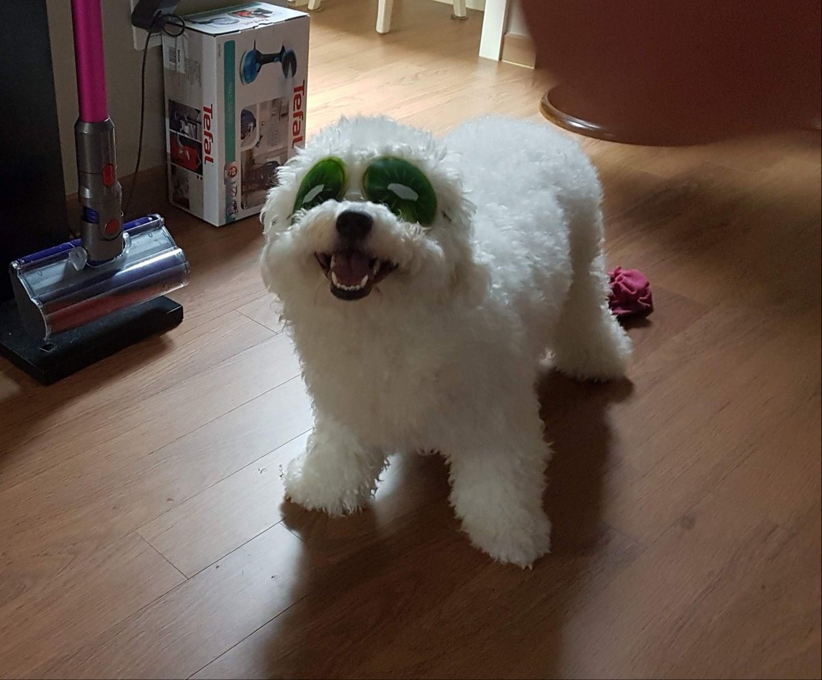 웃긴 루이..저눈이 지눈이 아닌디.. 어느 만화 캐릭터 였더라..폼포코인가?