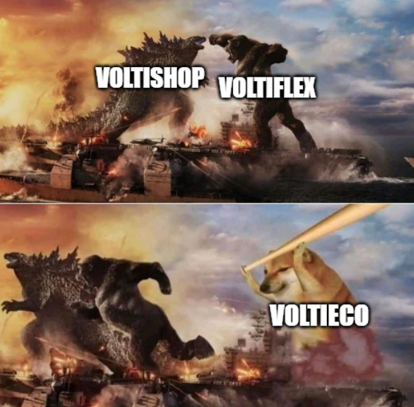 Volt Inu ⚡️ tweet media