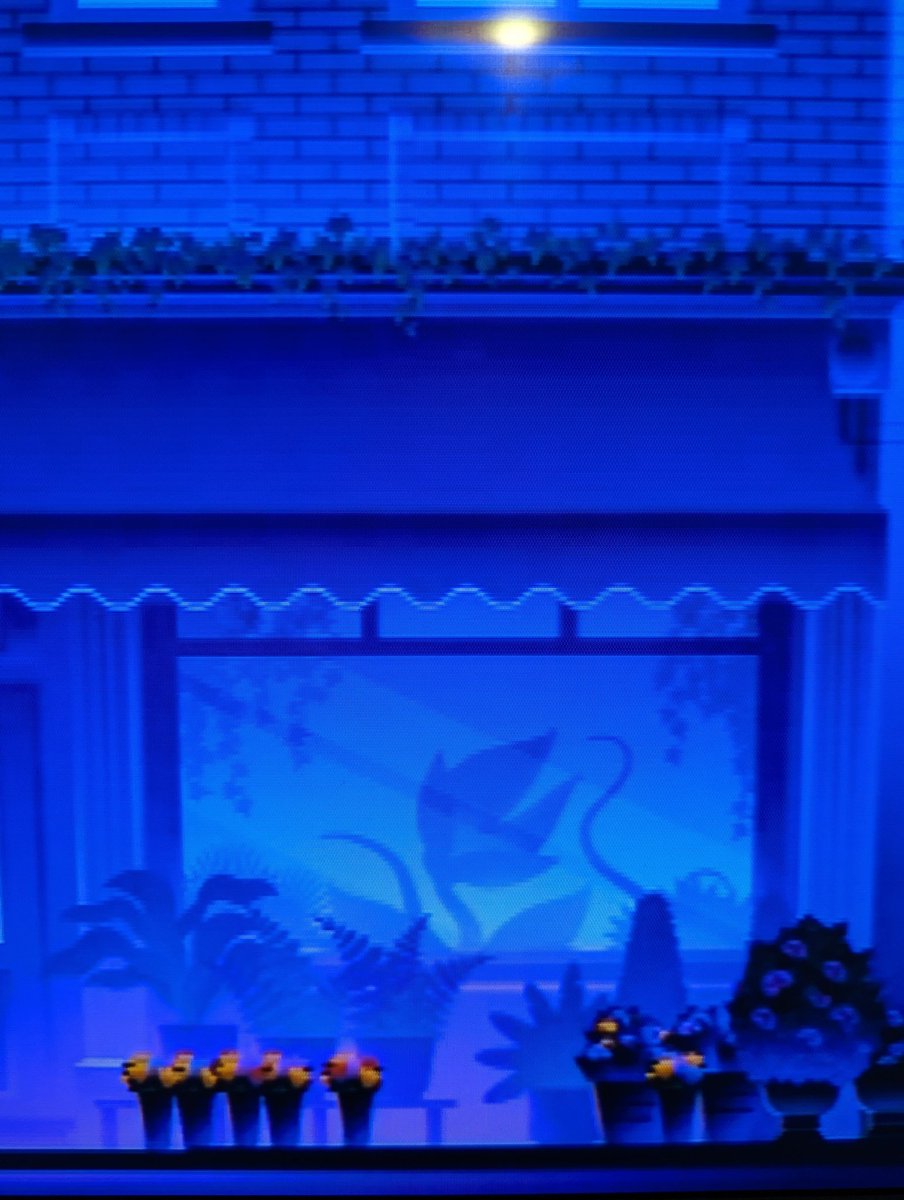 Hayes Permar tweet media