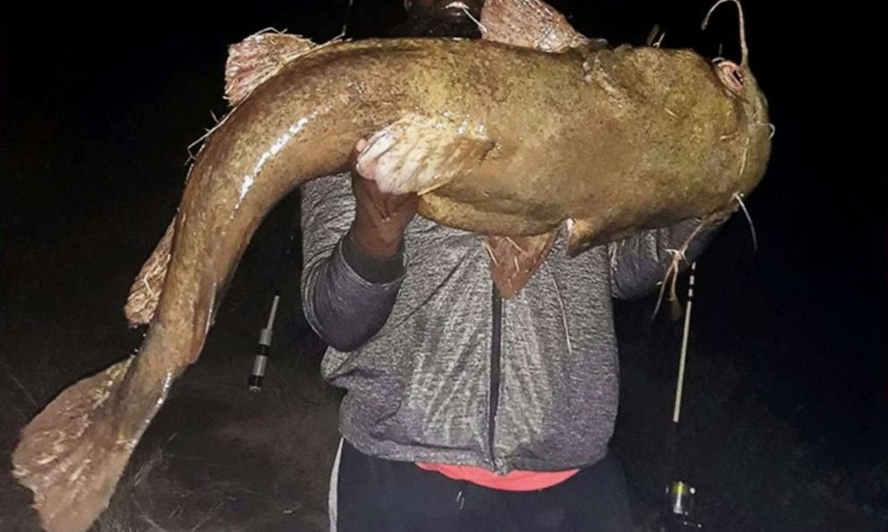old white nigga try n tell me I cant fish so nigga like me had to catch the (biggest) big fish that they only see 1 times a year and be telling they grand kids stories 1st try 
(It was easy for me )