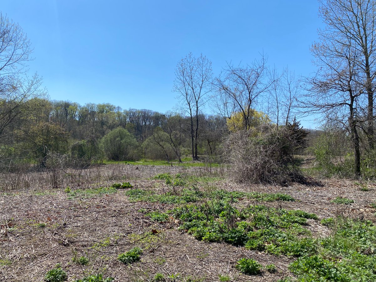 Amanda Goldstein tweet media