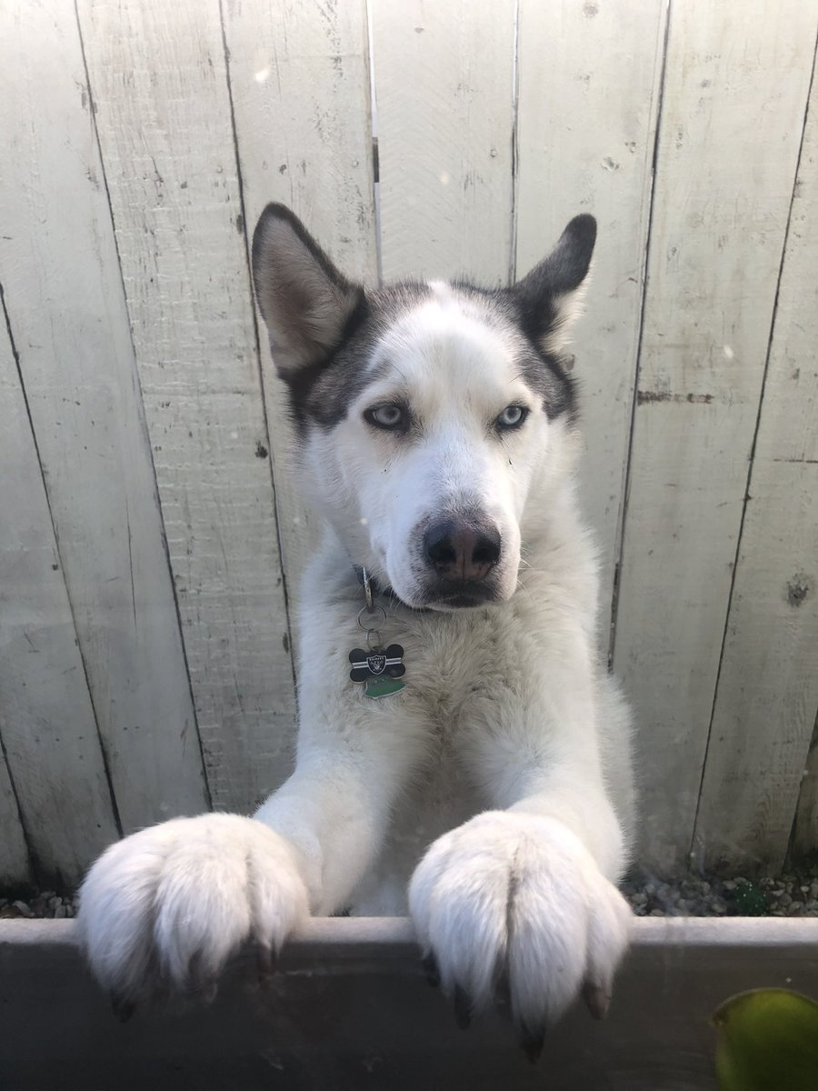 DJAYMEN12's tweet image. I will always cherish the memories I made with you😔  #restinparadise #jacksingh