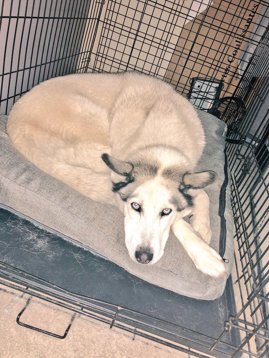 DJAYMEN12's tweet image. I will always cherish the memories I made with you😔  #restinparadise #jacksingh