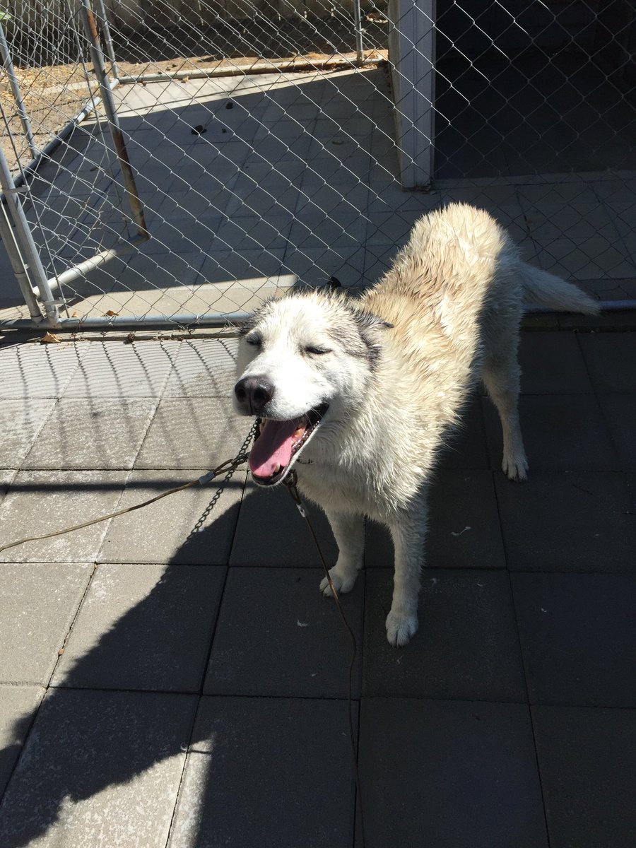 DJAYMEN12's tweet image. I will always cherish the memories I made with you😔  #restinparadise #jacksingh