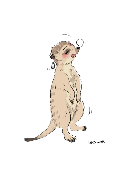 みーあきゃっとたん 