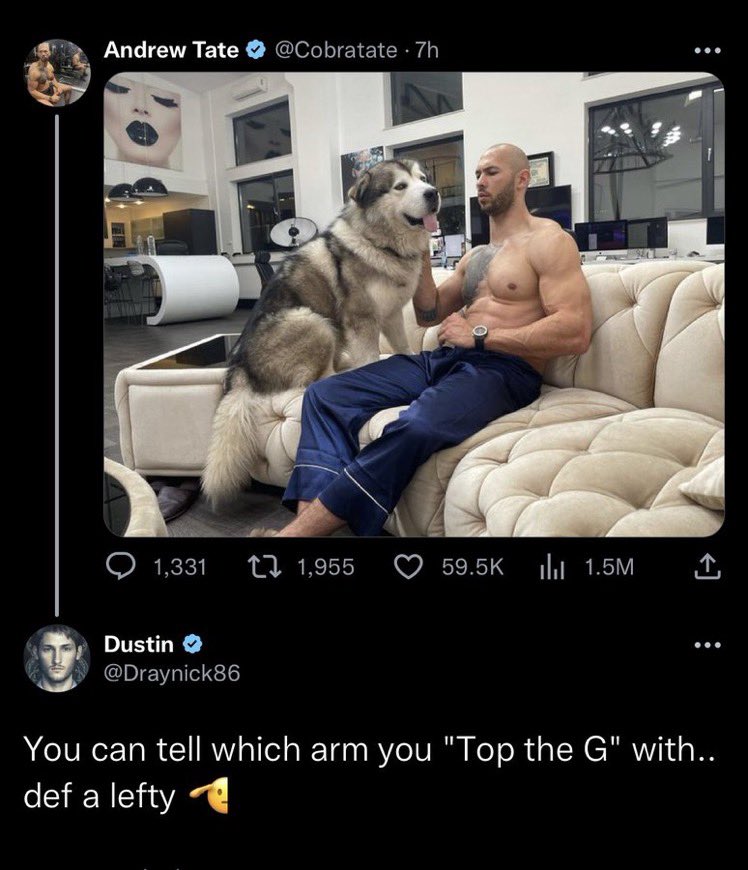 kira 👾 tweet media