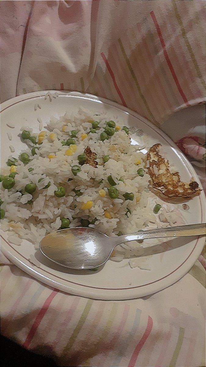 ray_inq's tweet photo. How many calories do yall think is in this? Theres rice,peas,sweetcorn and half an egg #edtwt #eatingdisorder https://t.co/rEYwA8fGBH