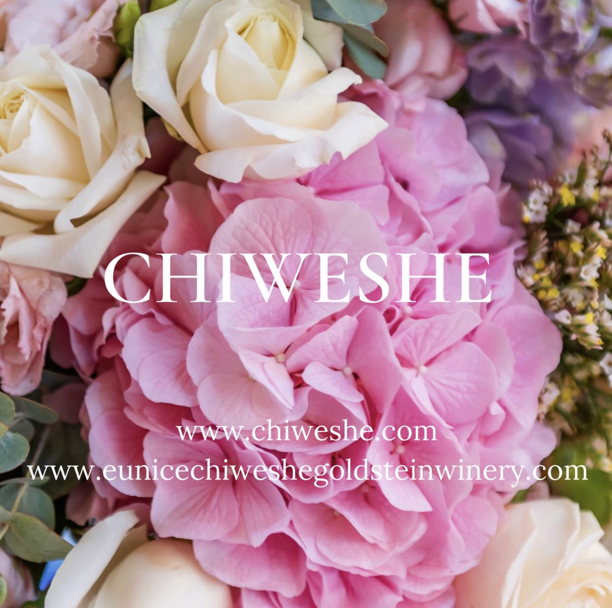 EuniceWinery's tweet photo. ✨🍷✨  #PurposeWine #winelover #Chiweshe #ChiwesheCollection #love #hugs #eunicechiweshegoldsteinwinery #success #winery #entrepreneur  #PinotNoir #photooftheday #firstblackfemalewineryowneroregon #firstblackfemalewinemakeroregon #winewithpurpose https://t.co/bwceLT5Z6N