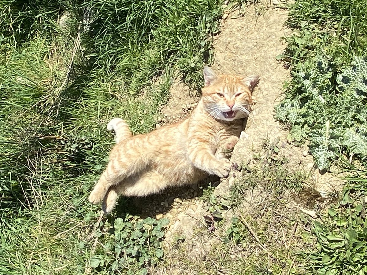 Benim ani ruh değişimi