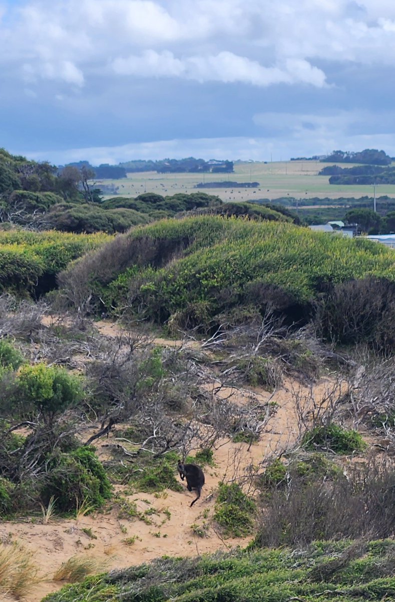 Kory Siegers tweet media