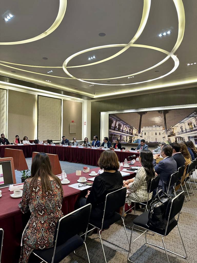 EipCDMX's tweet photo. Con la presencia de representantes de gobierno de 21 entidades federativas y en coordinación con la @CNDH, la #UDDH @SEGOB_mx instaló mesa de trabajo para fortalecer coordinación e impulsar el cumplimiento de recomendaciones, medidas cautelares y conciliaciones de @CNDH 1/3 🧶 https://t.co/jJd8WgDNgO