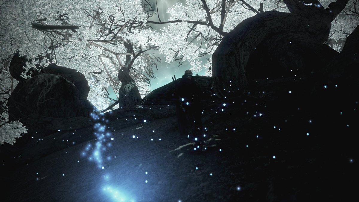 Geocazzo's tweet photo. #BDO #BlackDesertOnline #BlackDesert #BDORemastered #BDOselfie #BDOSS #BDOScreenshot #BDOScenery #BDOMemories #BDOCharacter #BDONinja #黒い砂漠PC #黒い砂漠 #MMO #MMORPG #GamePhotography https://t.co/CI49Fm9myD
