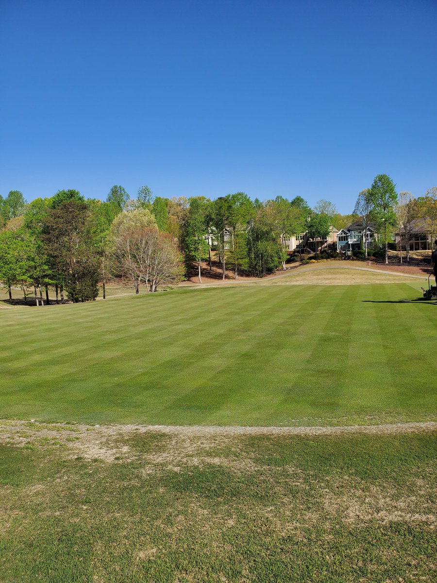 pattyice67's tweet image. Today was great but very long day. First thing shout out to the team for killin it today. But on a #turfnerd note i went out with another PGR and follair app @HarrellsLLC this morning and #Stripeshow fairways this afteroon. #hardworkpaysoff
