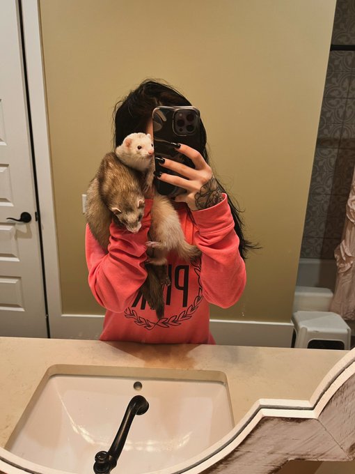 1 pic. just a girl and her ferrets https://t.co/o8LQSRvh1q