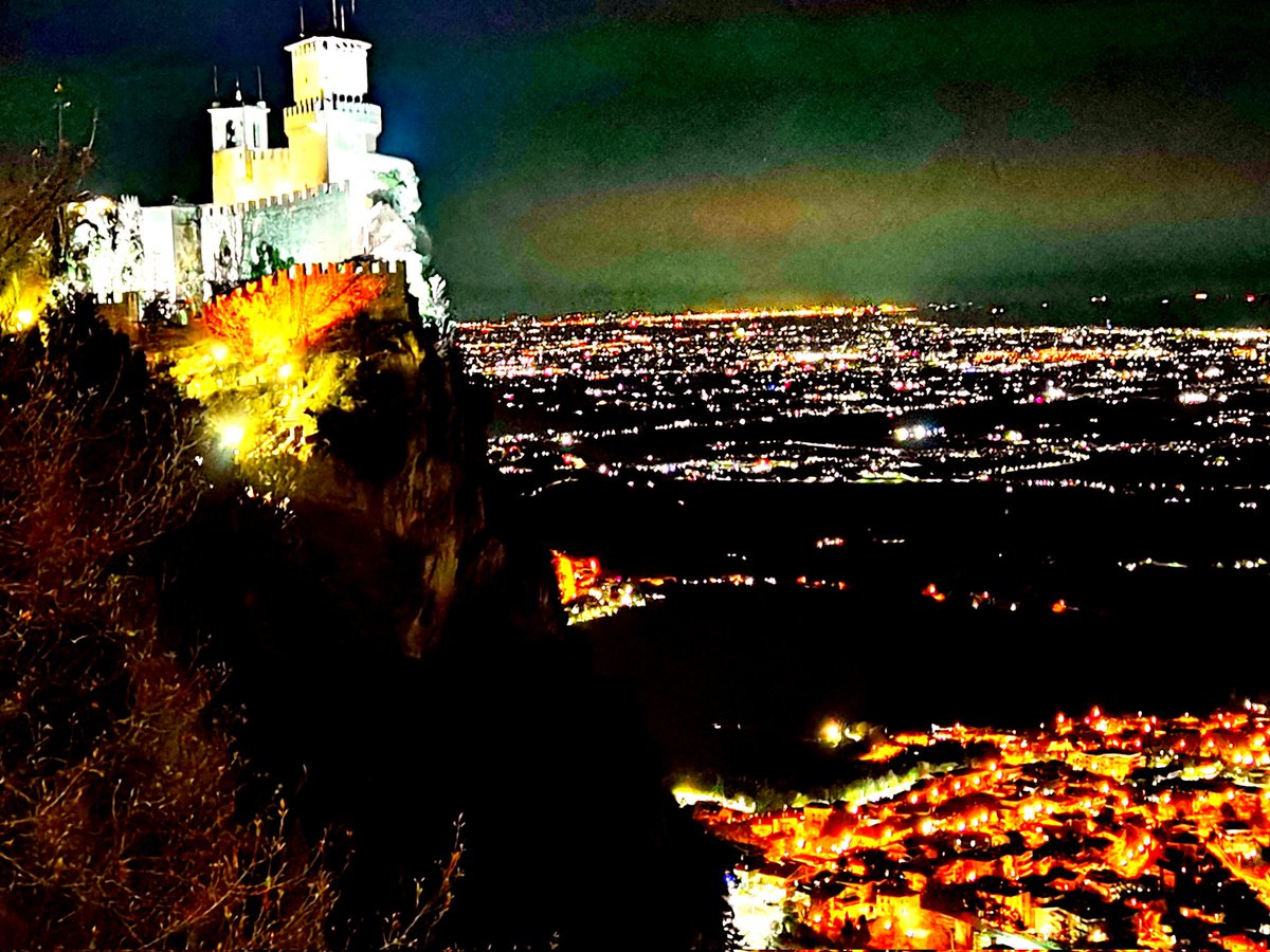 イタリア街路樹 tweet media