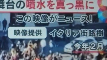 イタリア街路樹 tweet media