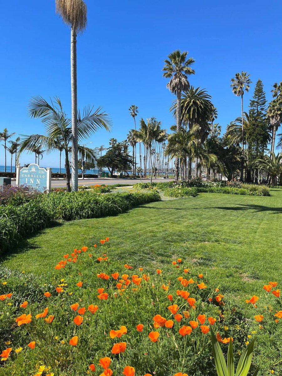#California  Santa Barbara town.