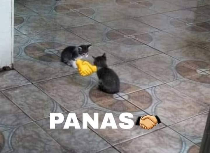 Kimono Secret Society tweet media