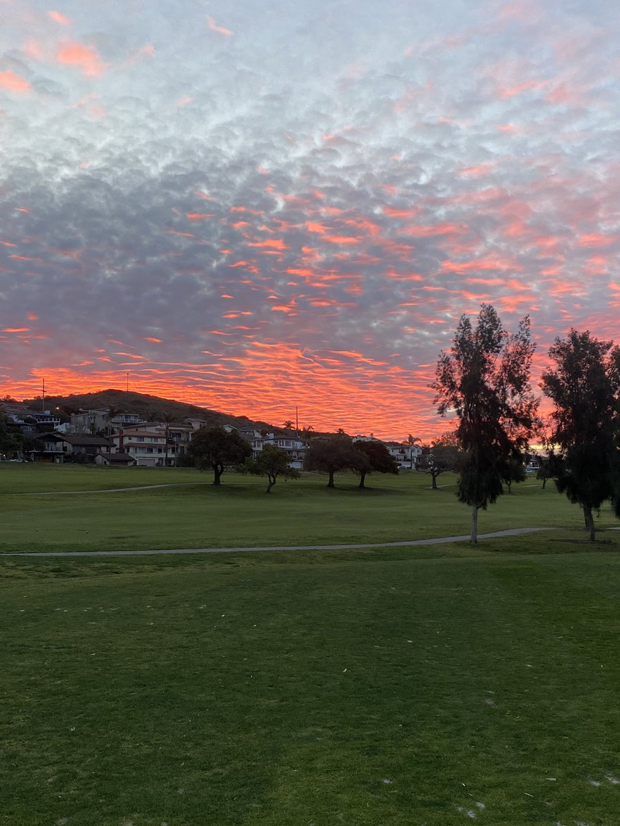 adsbradharris's tweet image. Looking for some photo shop masters to help make a Epic Calendar for Cosmic tours .

Inquire within
AdsBradHarris@Gmail.com
Or 
DM!
#ShiftHappens