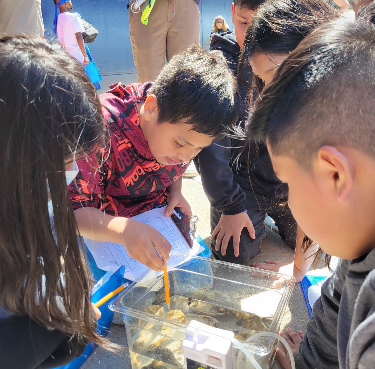 MsUnger229's tweet photo. @229Holabird 6th graders participated in the What Lives in the Harbor program at the @NatlAquarium today! They did water quality testing, observed organisms in the harbor, and talked about the impact that humans have on the Chesapeake Bay Watershed 💦🦀🐠 @BaltCitySchools https://t.co/rOImJzHFAk