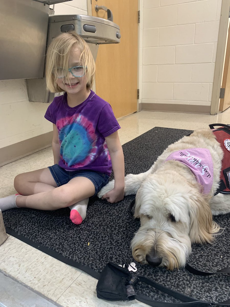 MECC_Counselor2's tweet photo. Sometimes you just need some time with Gibson to get back on track. He ❤️ to hold hands! #MVPs #MostValuablePups @schatzj9 @MrsBly_MECC https://t.co/CxhPMuxZDY