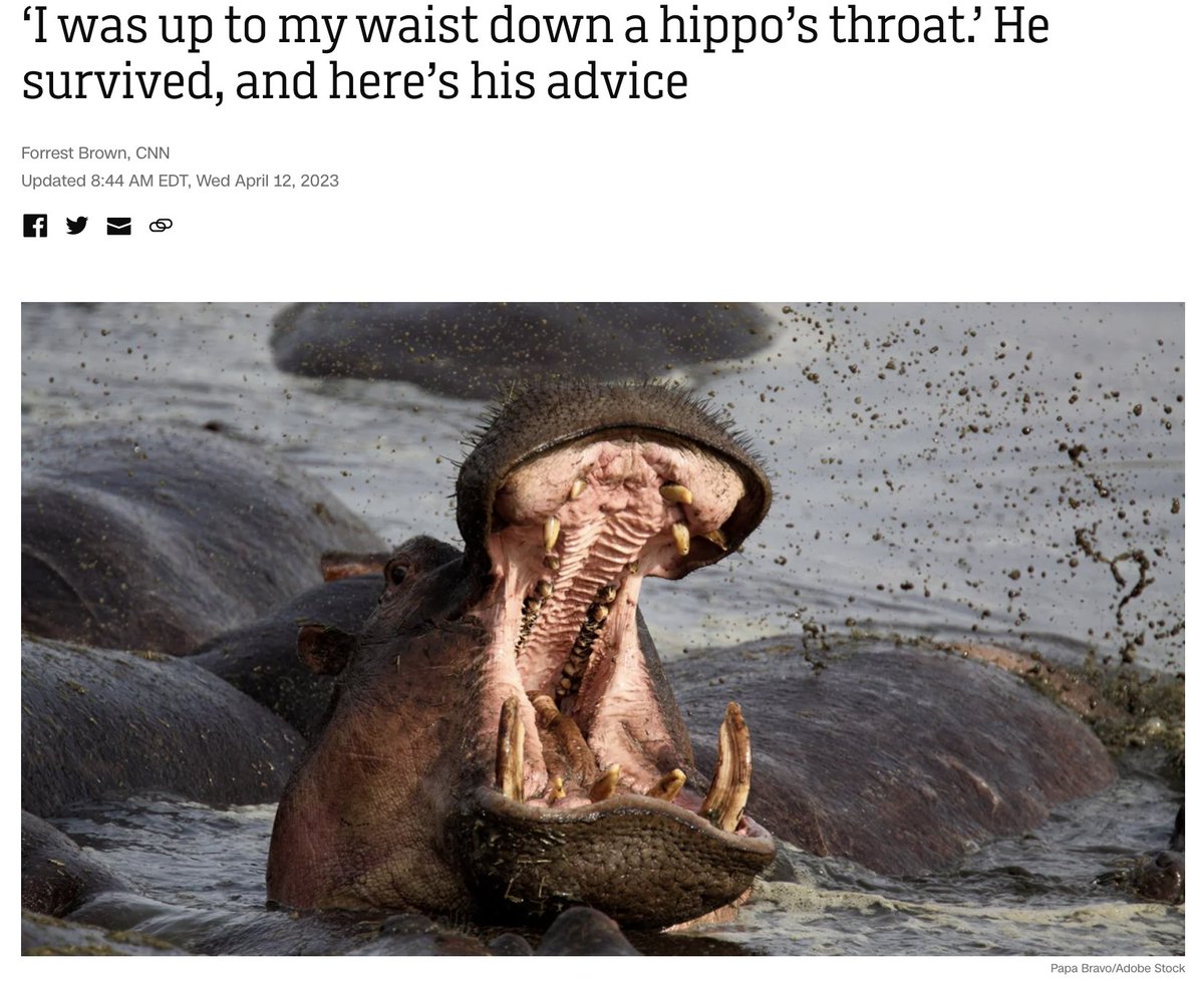 dicus_kevin's tweet image. Huge if true. PSA on avoiding the maw of the hippo. #NeverAgain